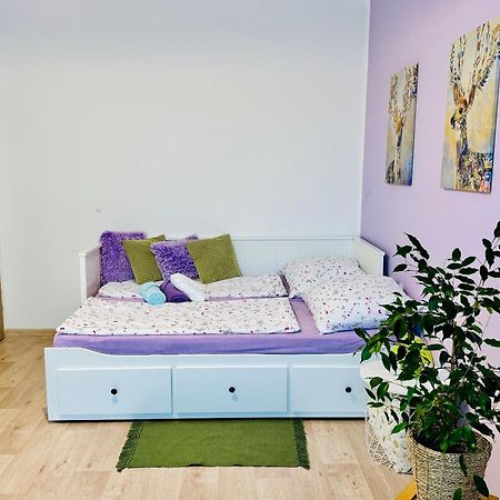 Garsonka Ve Dvore Dvůr Králové nad Labem Εξωτερικό φωτογραφία